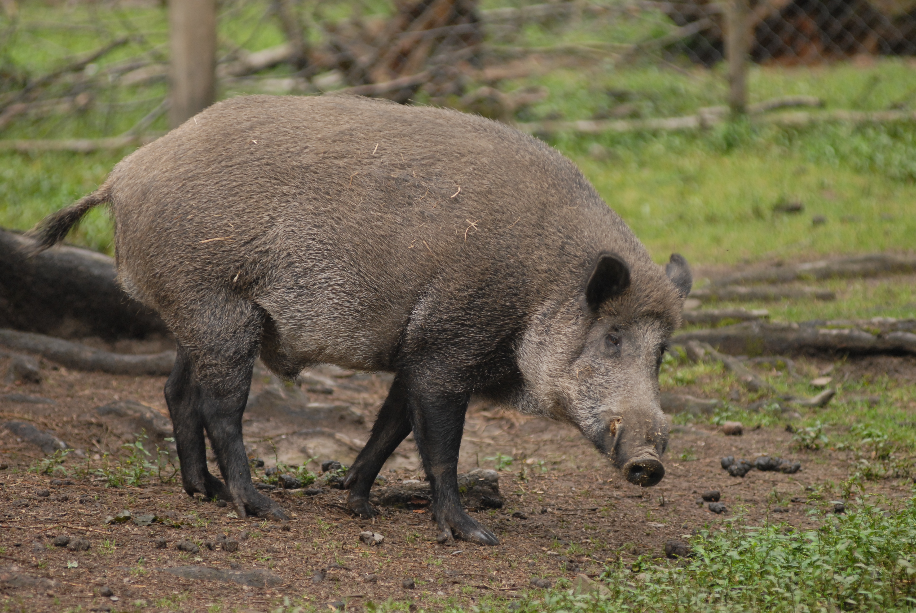 Tierpark in Mehlmeisel
